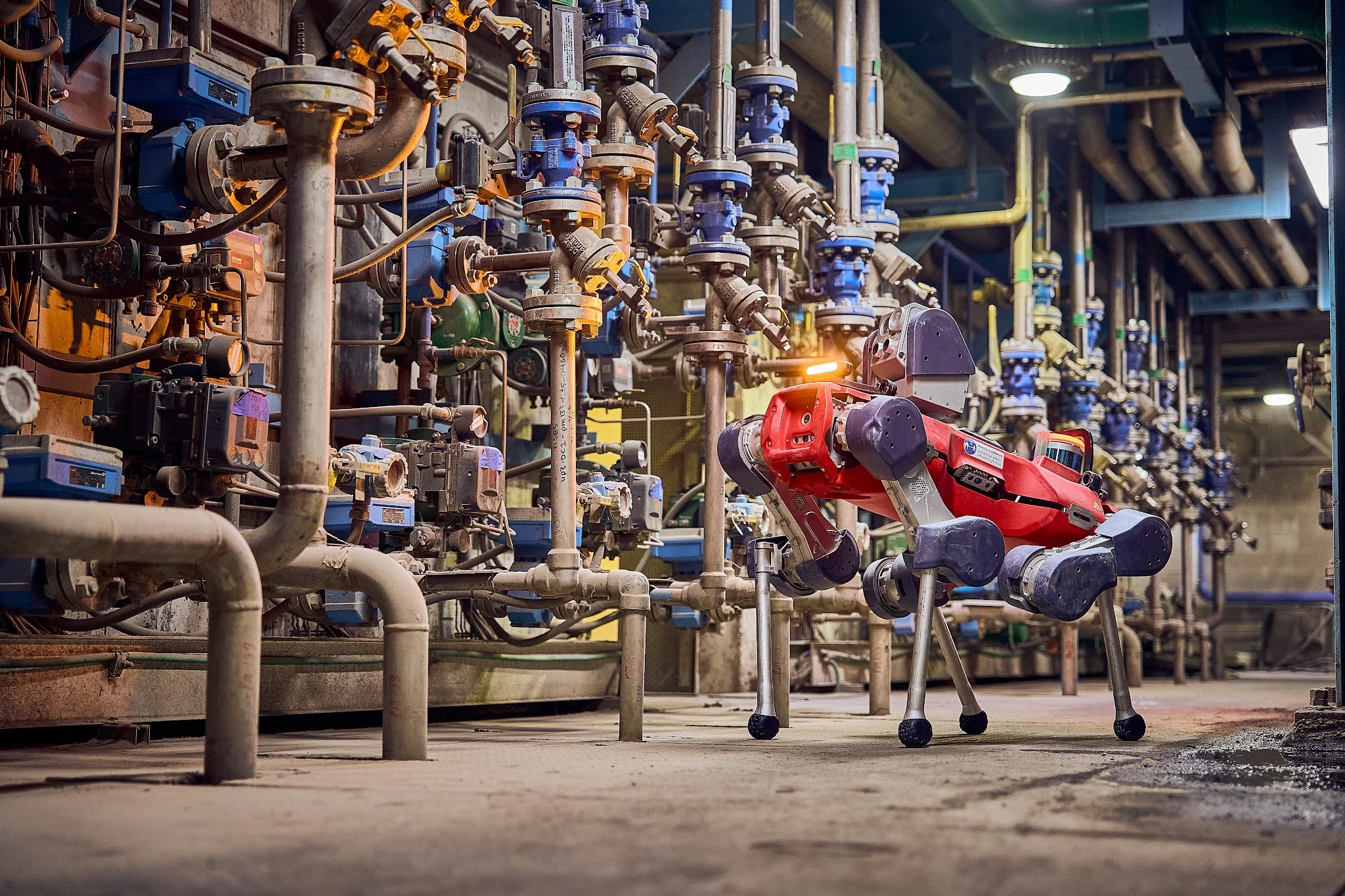 ANYmal robot performing an industrial inspection.