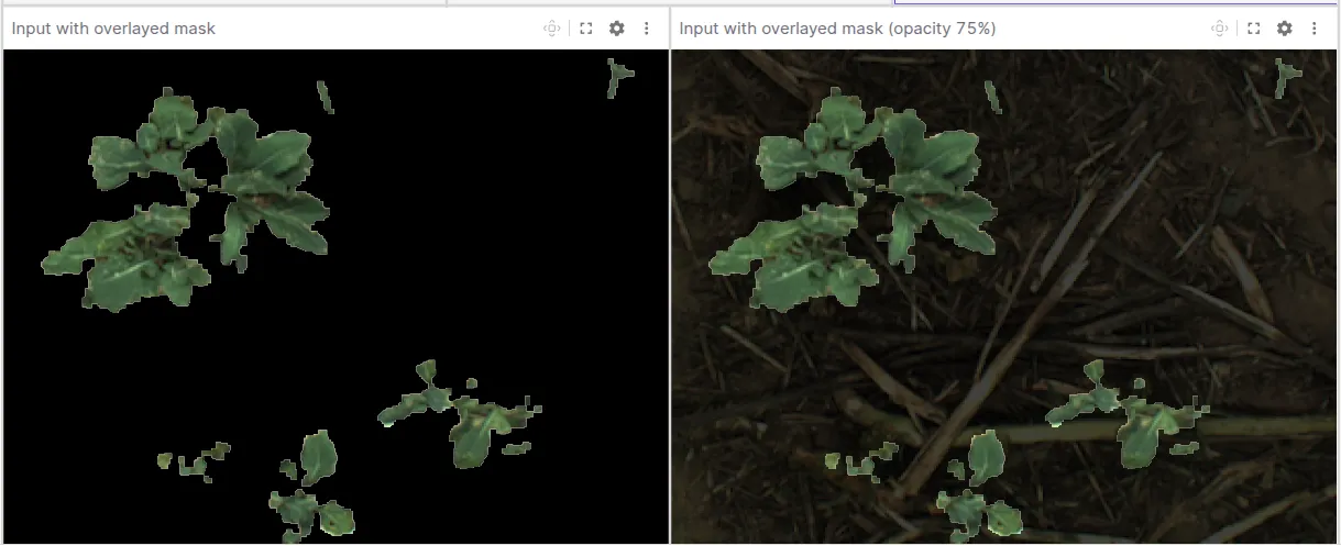 The overlay at 100% opacity (left) and 75% opacity (right), showing how reducing opacity reveals the underlying camera image.