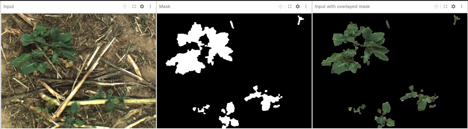 From left to right: the raw camera input, a binary vegetation mask, and the overlay—clearly showing where the color filter identifies plants in the scene.