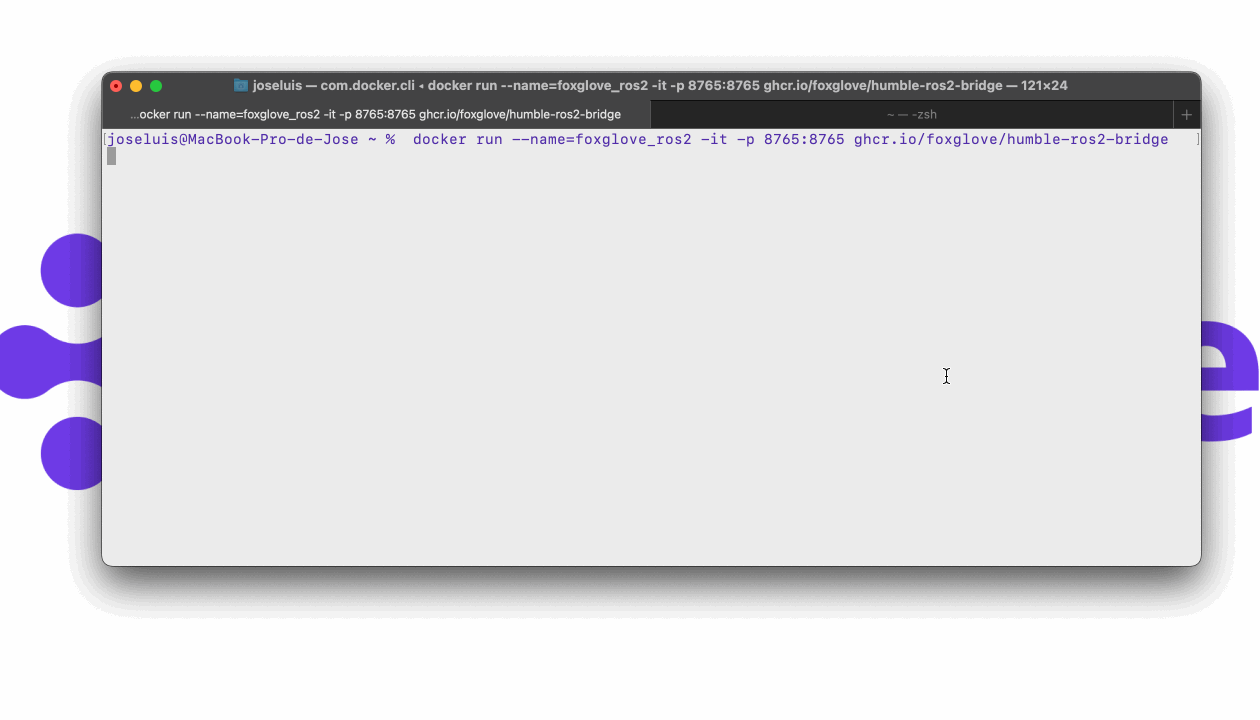 Foxglove WebSocket connection