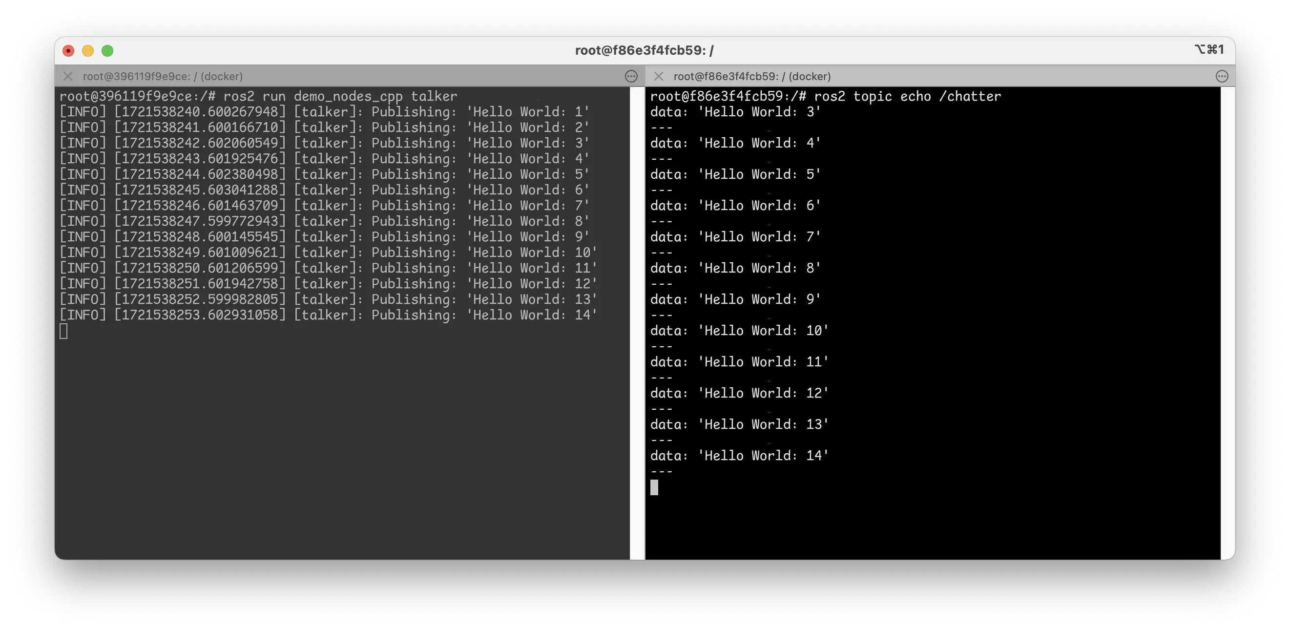 ROS Docker screenshot