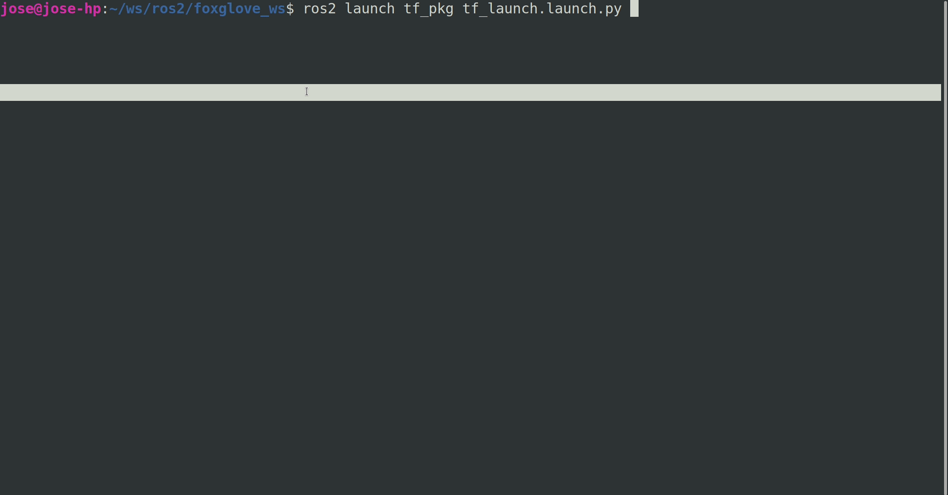 launching in Foxglove